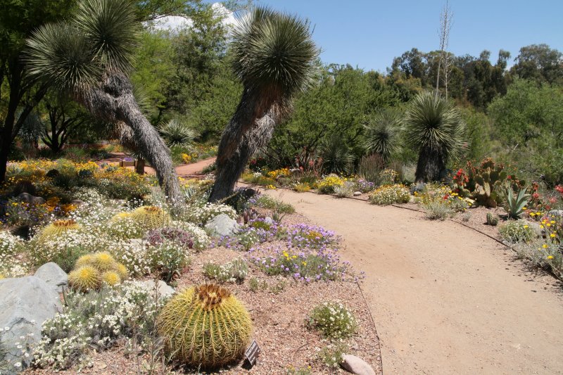 April in the Demonstration Garden