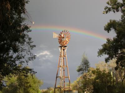 Rainbow at Boyce Thompson Arboretum