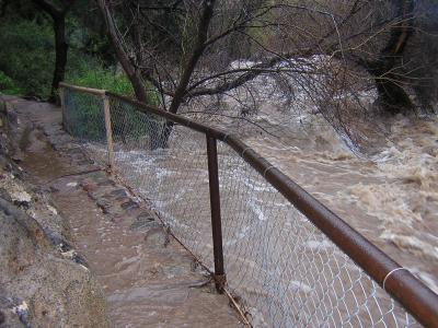 February 12, 2005. 8:19 am. Raging flood in Queen Creek