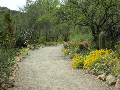 Along the main trail in the cactus garden