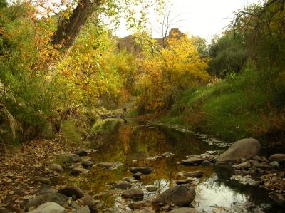 Fall colors along Queen Creek