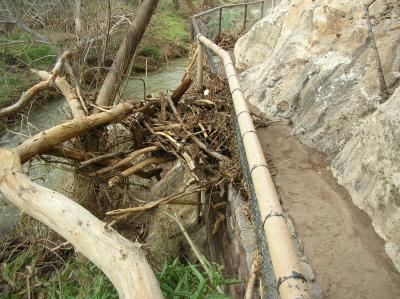 February 14, 2005. Flood debris attatched to the catwalk