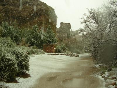 Snow Falling at the Turn-around in the Canyon