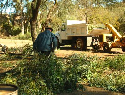 Hauling Fallen Branches out of the Demonstration Garden