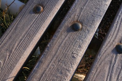 Frost on a bench