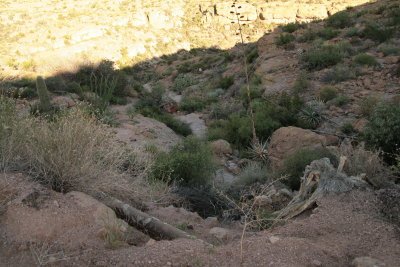 Two old cars below the road on the western side of Fish Creek Hill