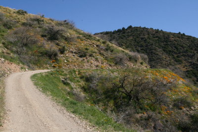 Part of the Switchbacks