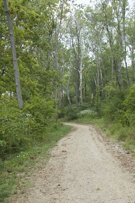 TRAIL LEADING TO THE POND