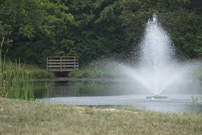 POND & FOUNTAIN