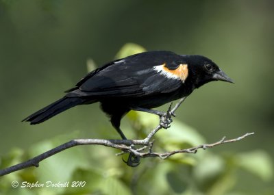 IMG_2748.jpg