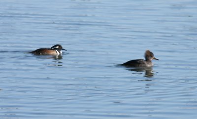 IMG_0377.jpg