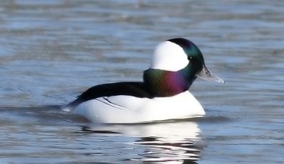 IMG_0393.jpg