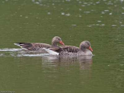 g3/67/677267/3/124357355.tYRuiER3.jpg
