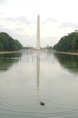 DSC_6000 - Washington Monument