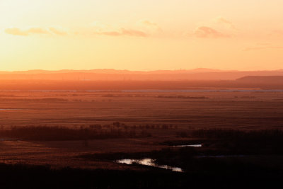 Golden Dusk