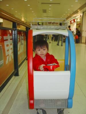 Shopping Cart (2-1-2006)
