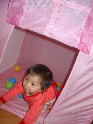Tent (20-2-2006)