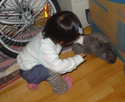 Rabbit (14-4-2006)