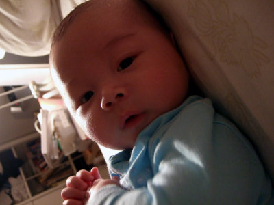Night @ Baby (23-10-2007)