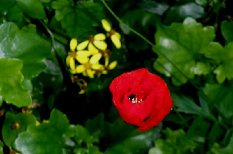   2010-0009.jpg