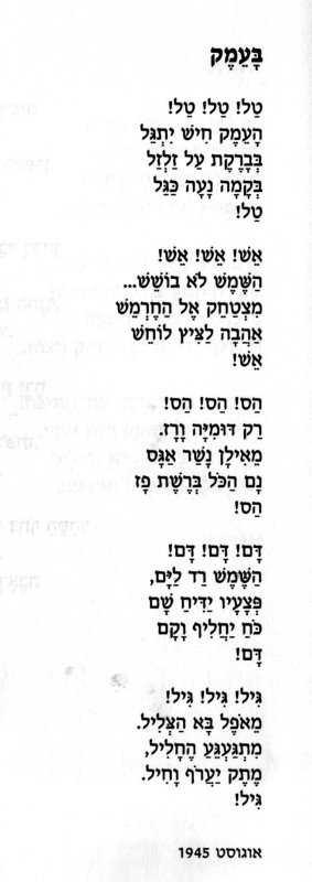 41.