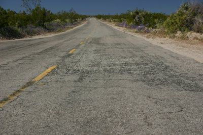 road 2.jpg