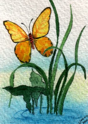 Yellow Butterfly 1-10