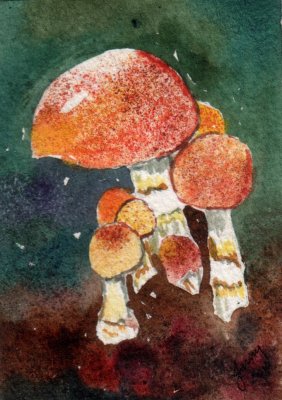 Toadstools 5-10