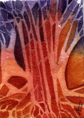 Tree Roots 5-10
