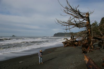 Camping trip to Hoh rainforest