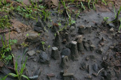 gopher holes after rain