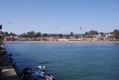 DSC_2523.jpg