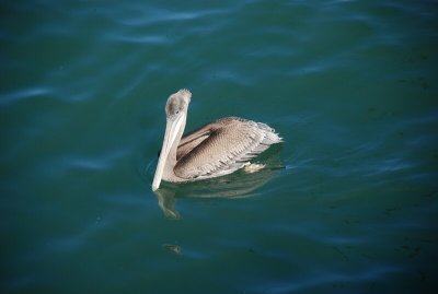DSC_2530.jpg
