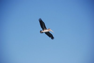 DSC_2541.jpg