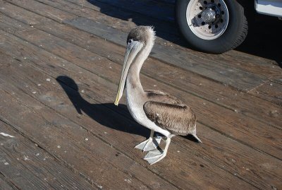 DSC_2543.jpg