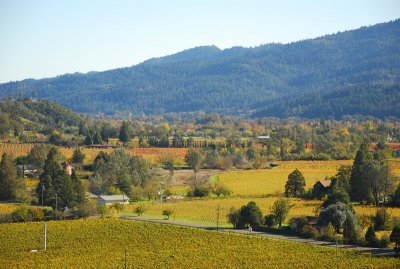 Napa Valley in autumn