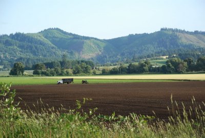 Along Hwy 8 west of Forest Grove