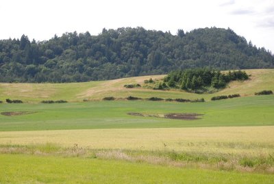 Near McMinnville