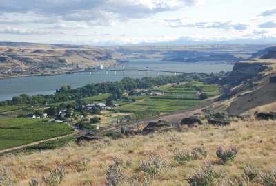 Columbia River near Biggs