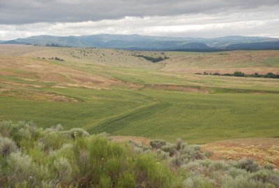 Along US Hwy 197 south of Dufur