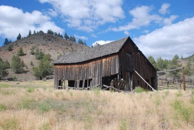 Along Hwy 218 east of Clarno