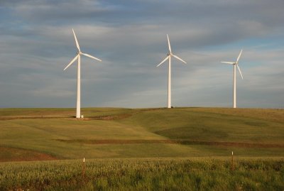 Windmills along Hwy 206 near Condon