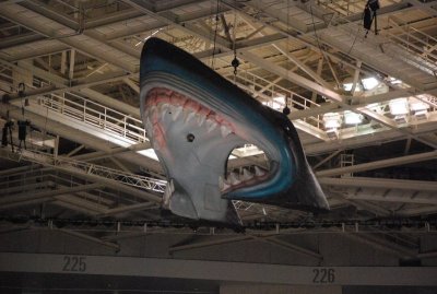 DSC_4502.jpg