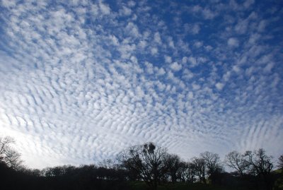 DSC_0489.jpg