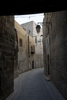 Aleppo april 2009 9745.jpg