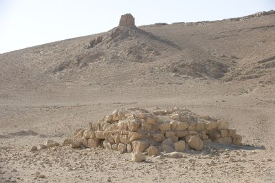 Palmyra apr 2009 0016.jpg
