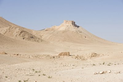 Palmyra apr 2009 0017.jpg
