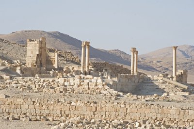 Palmyra apr 2009 0048.jpg