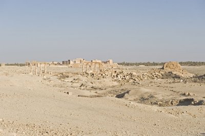 Palmyra apr 2009 0054.jpg