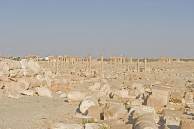 Palmyra apr 2009 0056.jpg